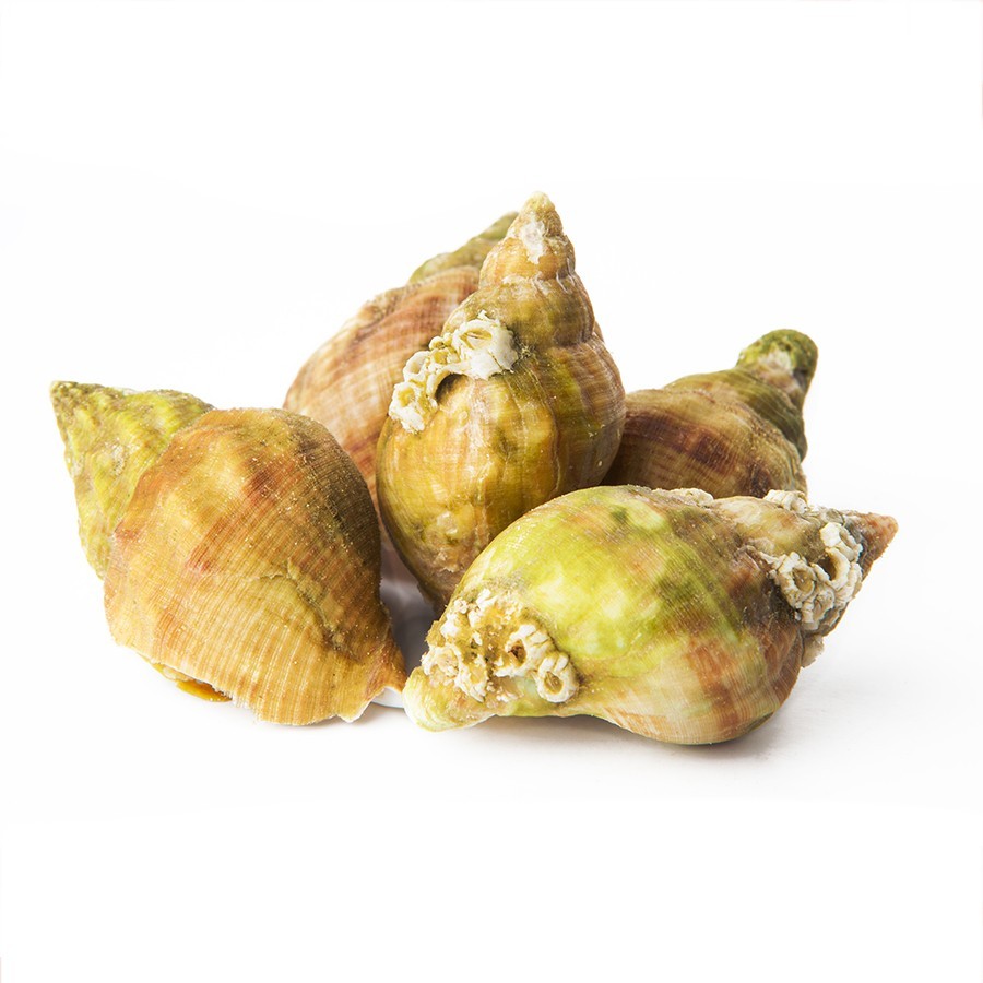 Bulots /kg