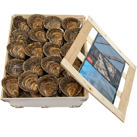 Huitres Bretonnes Plates