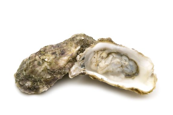 Huitres Bretonnes