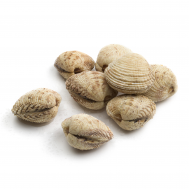 Praires Grosses /kgs